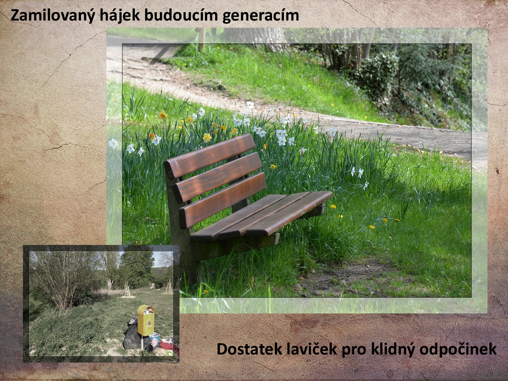 Náhled - Zamilovaný-hájek-budoucím-generacím-led_brusle.jpg