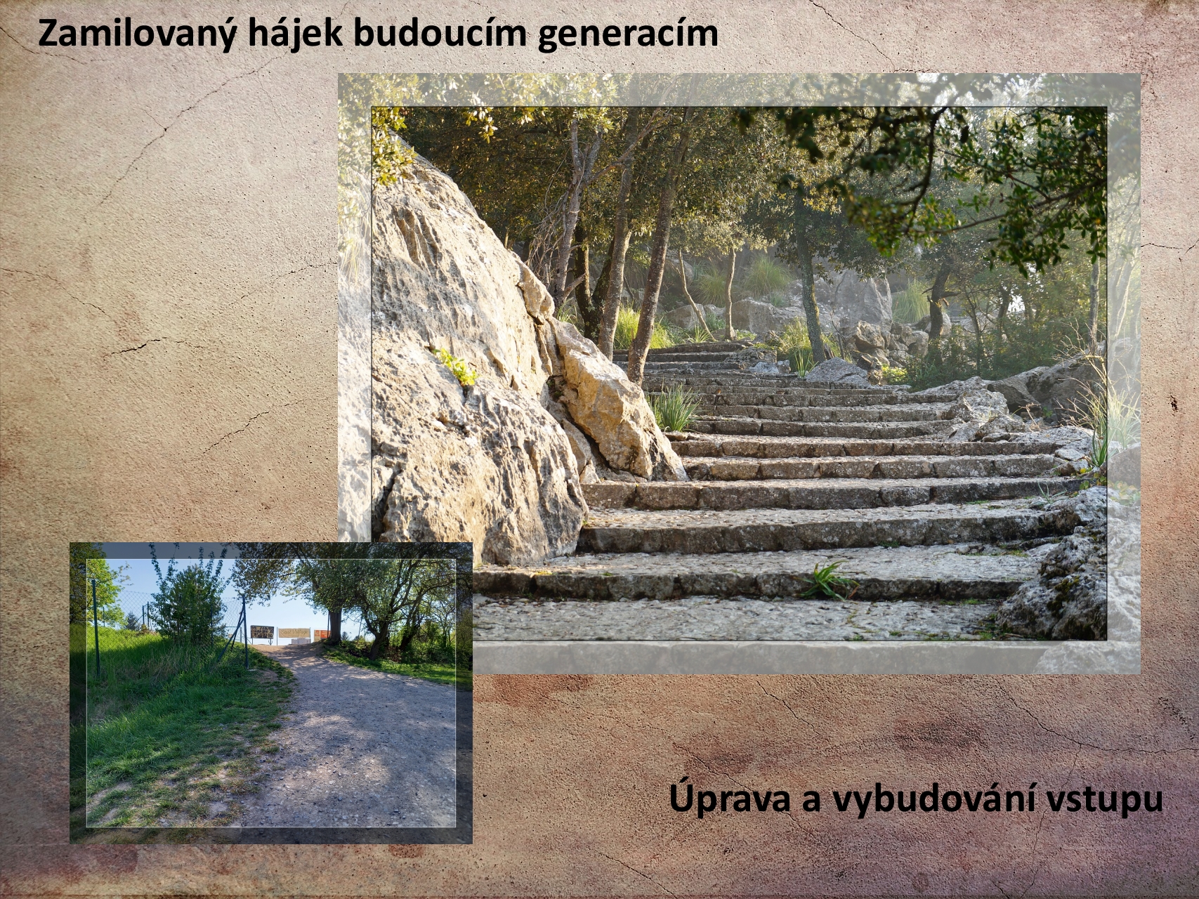 Náhled - Zamilovaný-hájek-budoucím-generacím-led_brusle.jpg