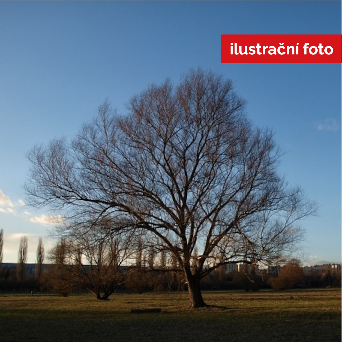 Náhled - Dok_1-1.jpg