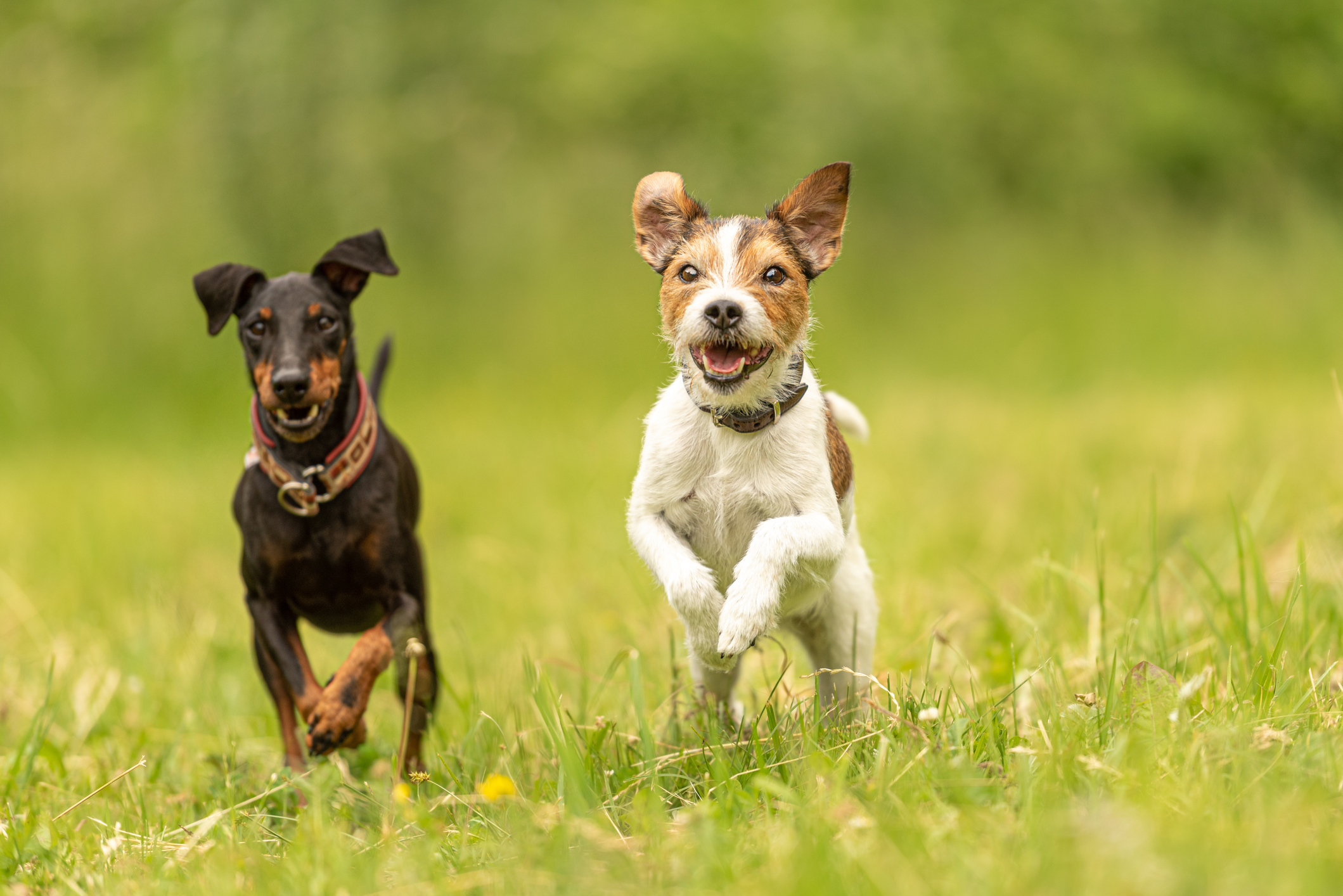 Náhled - iStock-1414315428-3.jpg