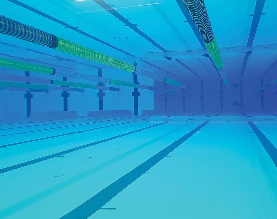 Náhled - swimwall2.png