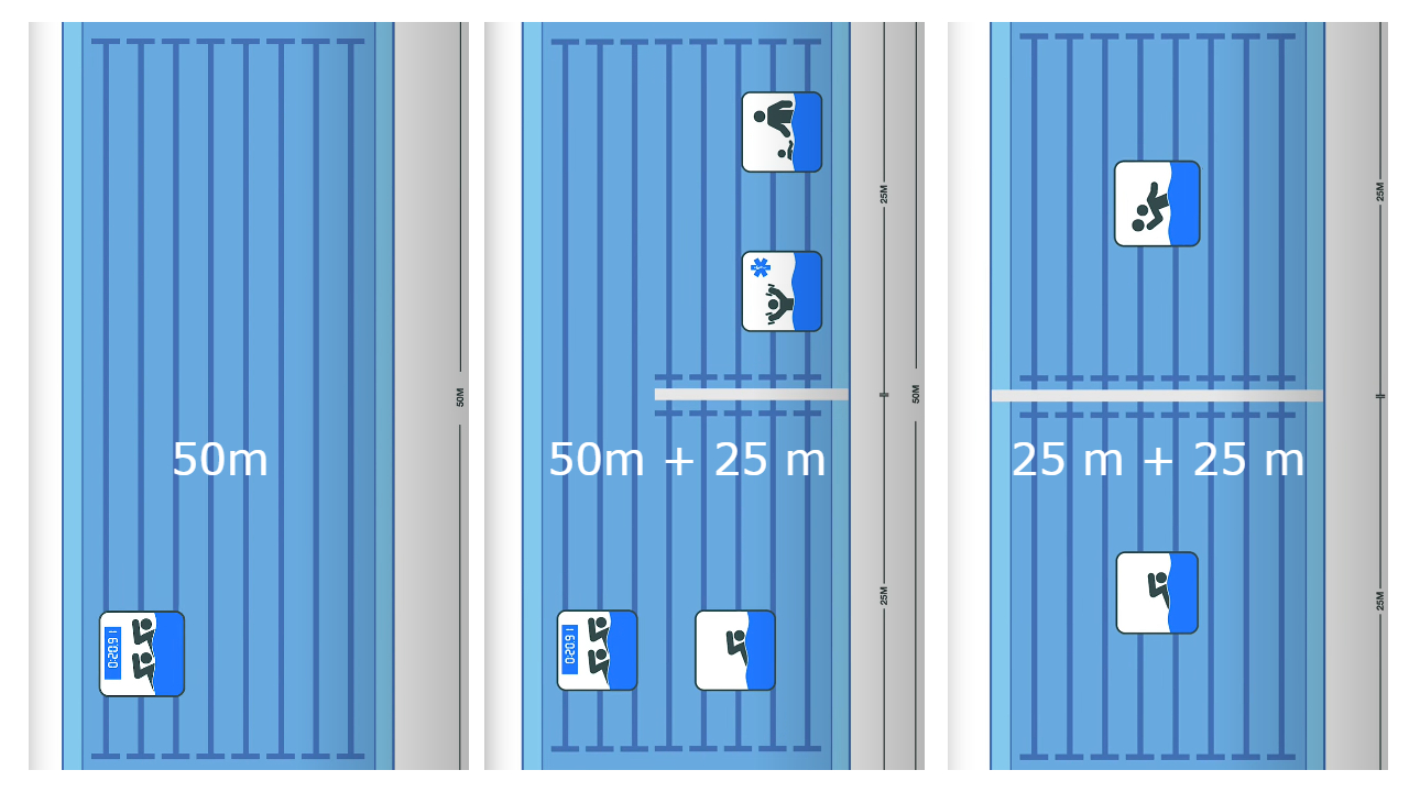 Náhled - swimwall2.png