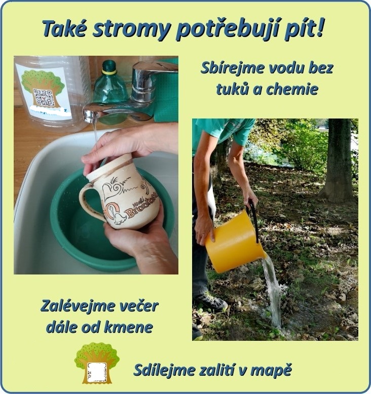 Náhled - Become-Tree-Hero.jpg