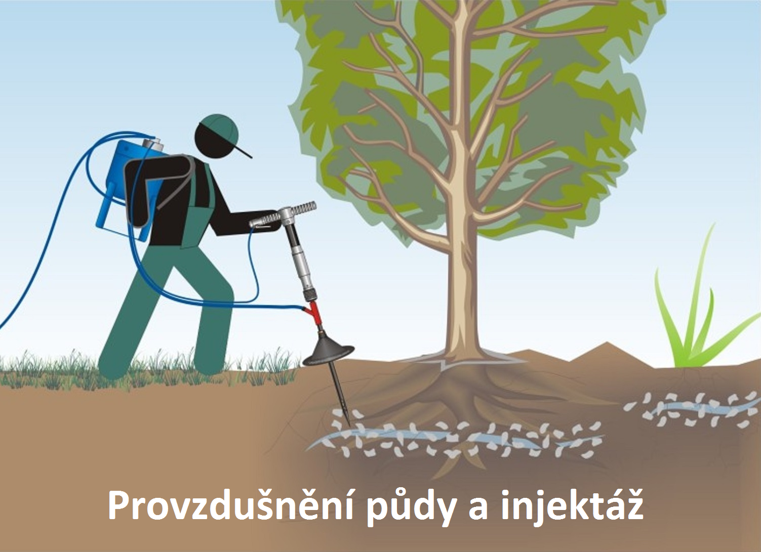 Náhled - Become-Tree-Hero.jpg