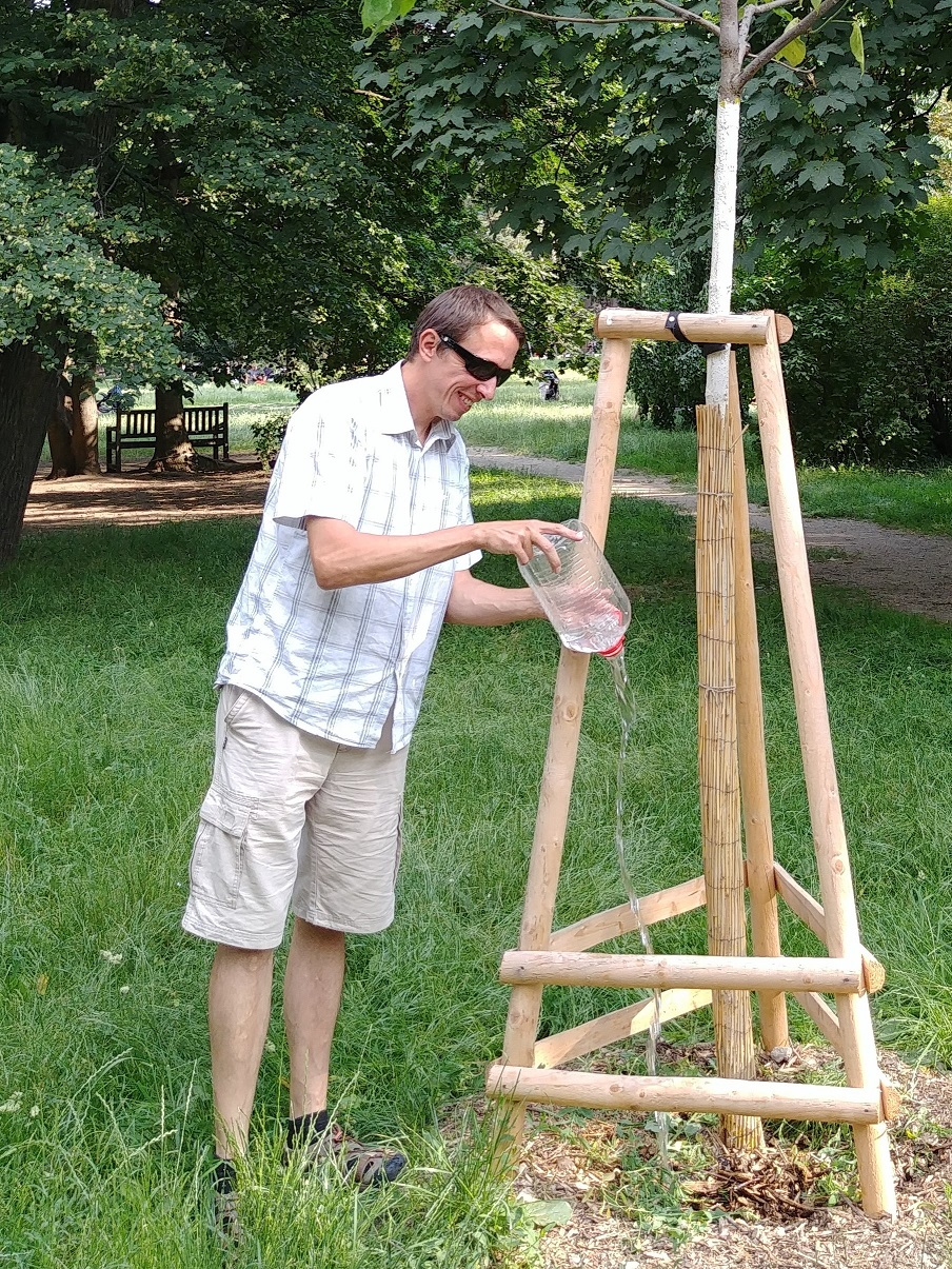 Náhled - Become-Tree-Hero.jpg